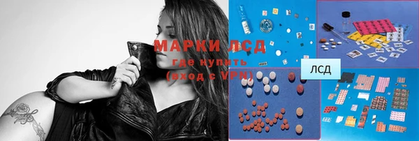 мдпв Осташков