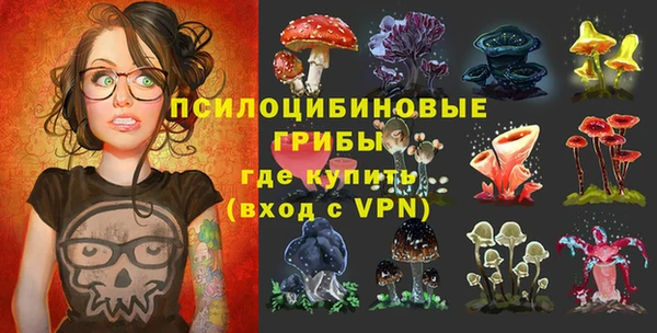 мдпв Осташков