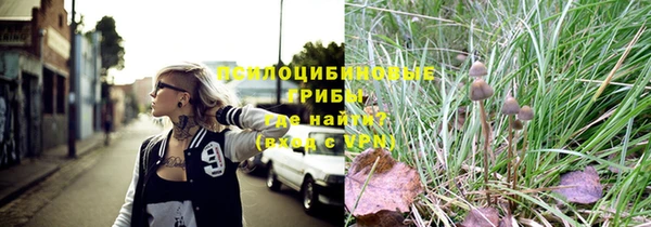 мдпв Осташков