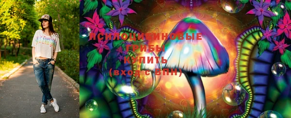 стафф Билибино