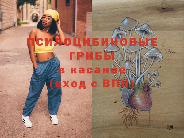 мдпв Осташков