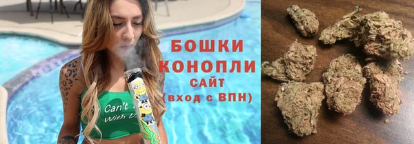 мдпв Осташков