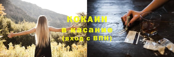 мдпв Осташков