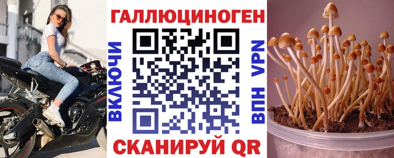 Галлюциногенные грибы прущие грибы  где можно купить   Волжск 