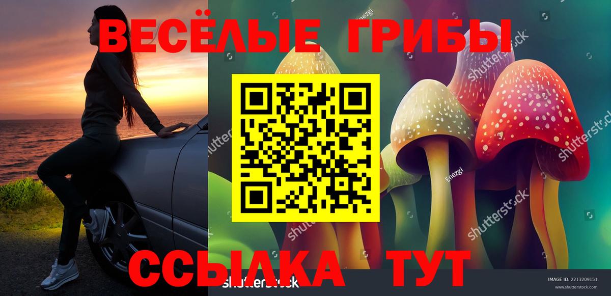 Псилоцибиновые грибы Psilocybe Волжск