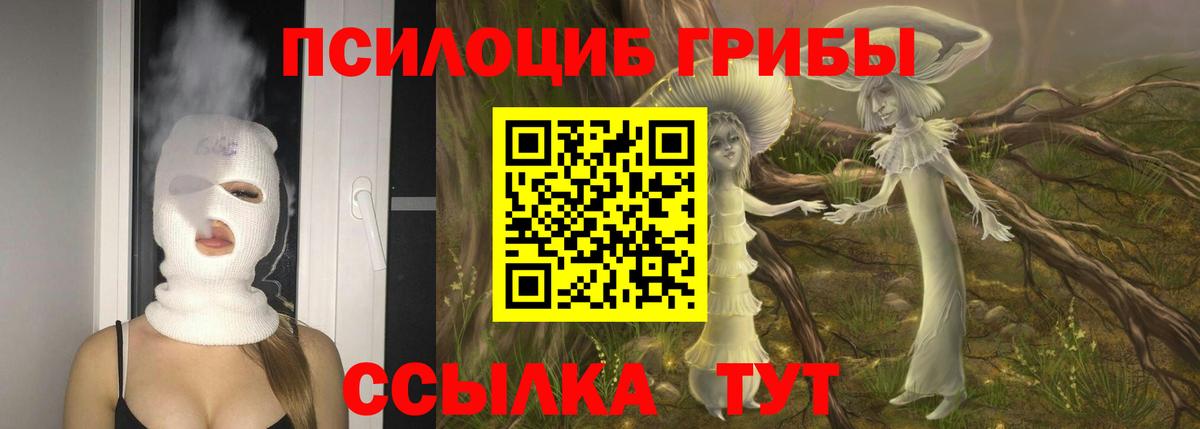 Галлюциногенные грибы Psilocybine cubensis Волжск